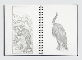 gildamartini sketch GIF