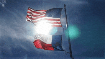 tonywagner flag texas GIF