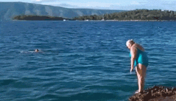 Dive GIFs - Get the best GIF on GIPHY