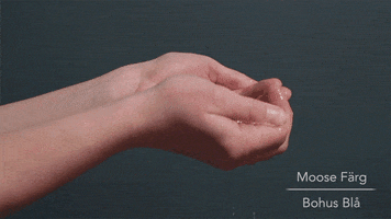 vitaliysoroka  GIF