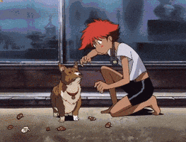 romanbentonfawns anime corgi cowboy bebop samurai champloo GIF