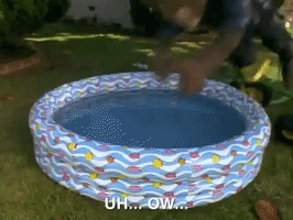 action league now nicksplat GIF