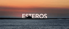Esteros GIF by Latina Estúdio