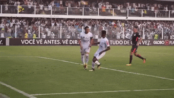 santos fc GIF by Santos Futebol Clube