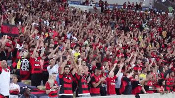 Soccer Futebol GIF by Flamengo