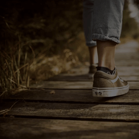 Christmas Regnum Christi GIF