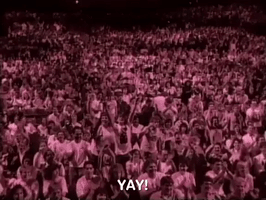 200.gif?cid=fc005b08227d304063f53680db58c784bdd4fe194669fab5&rid=200.gif&ct=g