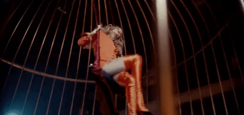 Taylor Swift GIF - Find & Share on GIPHY
