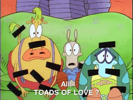 Rockos Modern Life Nicksplat GIF