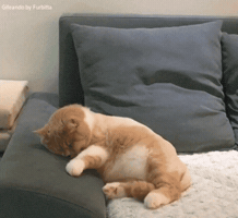 yokboylebirsey  GIF