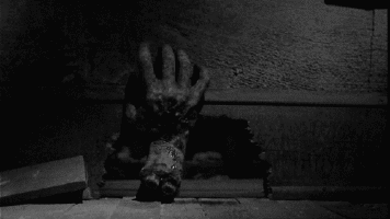 herrerorosarino fuckyou GIF