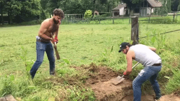 evaellida festival concert construction live music GIF