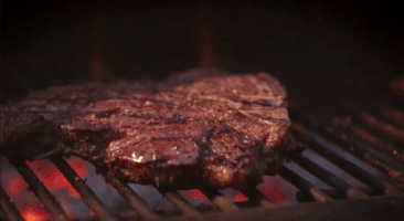 4C_Summit cattletales GIF