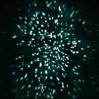 spin rotate GIF by Erica Anderson