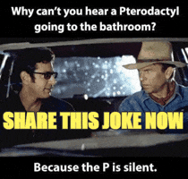 humoropedia funny jokes corny GIF