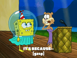 season 6 gullible pants GIF by SpongeBob SquarePants