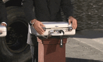 fox GIF by Hell's Kitchen