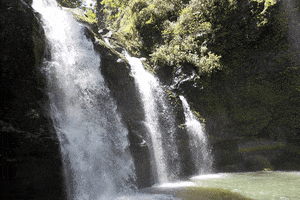 geoffrey waikini waterfall maui GIF