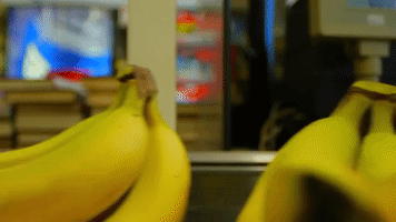 music video bananas GIF by Andrew W. K.