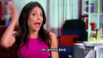 real housewives of new york bird GIF