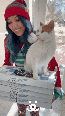 Cat Christmas GIF by Best Friends Animal Society