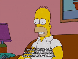 homer simpson reading GIF