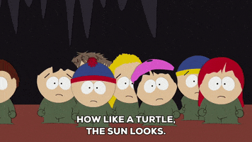 stan marsh turtles GIF by South Park 