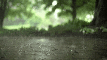 amazingorfunny nature rain beautiful clouds GIF