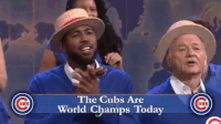 Bill Murray Celebrates Cubs WIn! - GIF - Imgur
