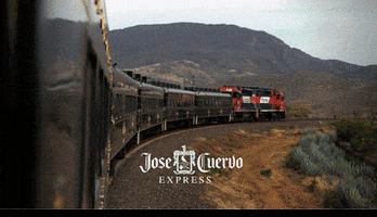 virynaye27 travel mexico tequila traveling GIF
