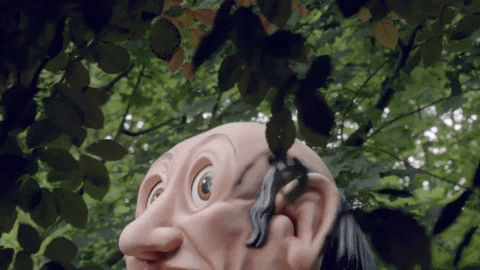 giphy.gif?cid=19f5b51a5c8807923556796b63a60d1d