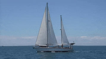 sailing cruising GIF
