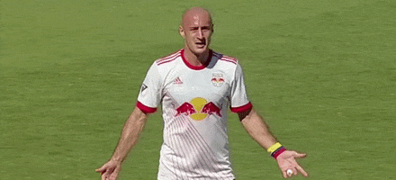 Major League Soccer Whatever GIF by New York Red Bulls