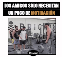 aliciavargascontreras  GIF