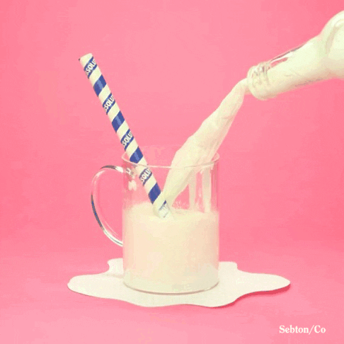 sebton milk GIF