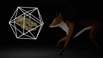 saraprocter fox skull c4d 22nd century fox GIF
