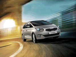 daliael-nabrawy  GIF