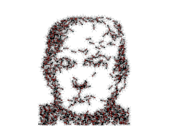 isakyn trump GIF
