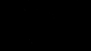 feminine  GIF
