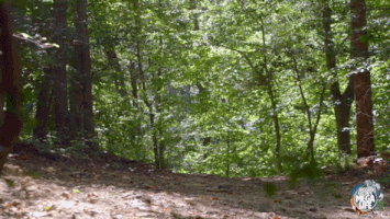 200.gif?cid=fc005b08b500662b0f2307c81689e515247aff21a075bacd&rid=200.gif&ct=g