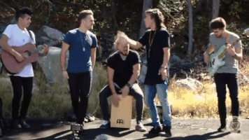 One Direction 1D GIF by LOS 5