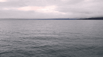 water is life GIF by cloudy