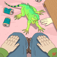 Pet Lizard GIF by Jon Vermilyea