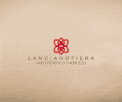 lucadifrancescantonio  GIF