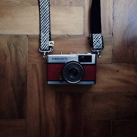 juliefernanda camera lomography GIF