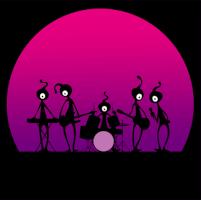 enzobenedetto music band punk combo GIF