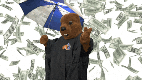 Money Rain GIF by Weather Underground - Find & Share on GIPHY