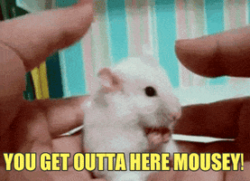 you get outta here mousey GIF by REBEKAH