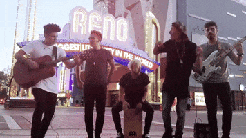 One Direction 1D GIF by LOS 5