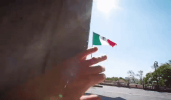 Viva Mexico GIF